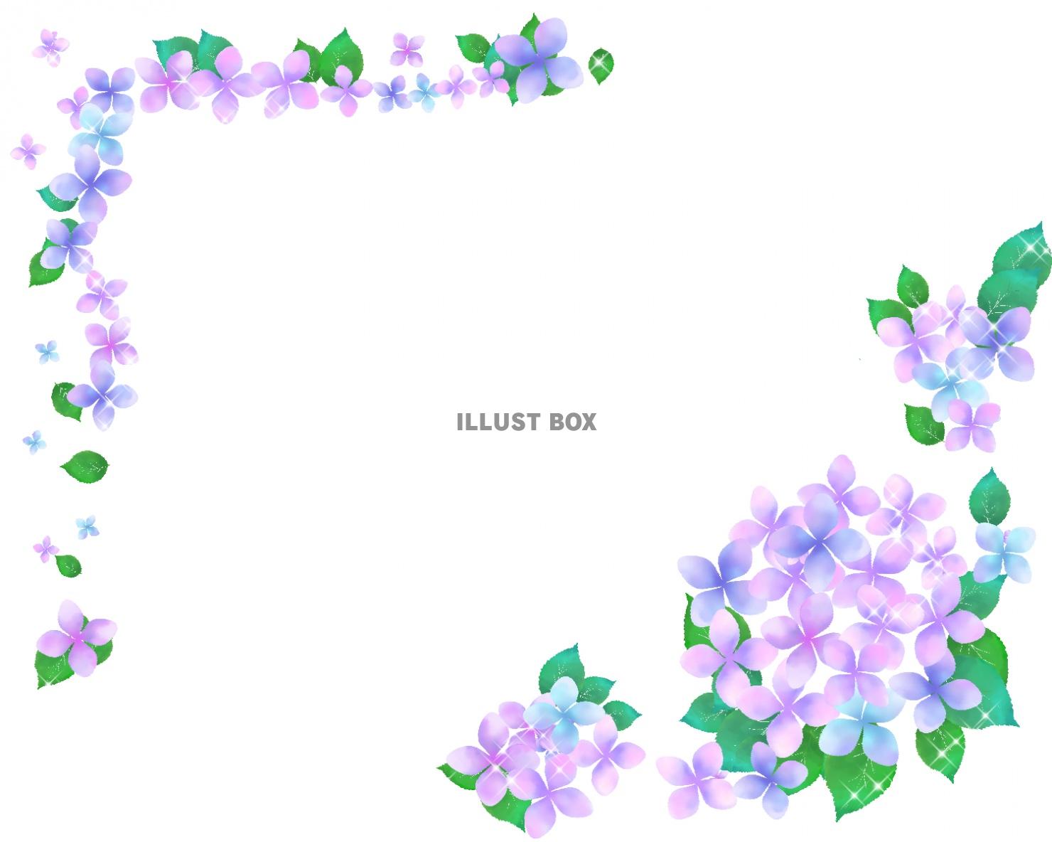 紫陽花のフレーム イラスト無料