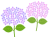 紫陽花の壁紙画像シンプル背景素材イラスト。透過PNG