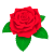 真っ赤なバラ　PNG