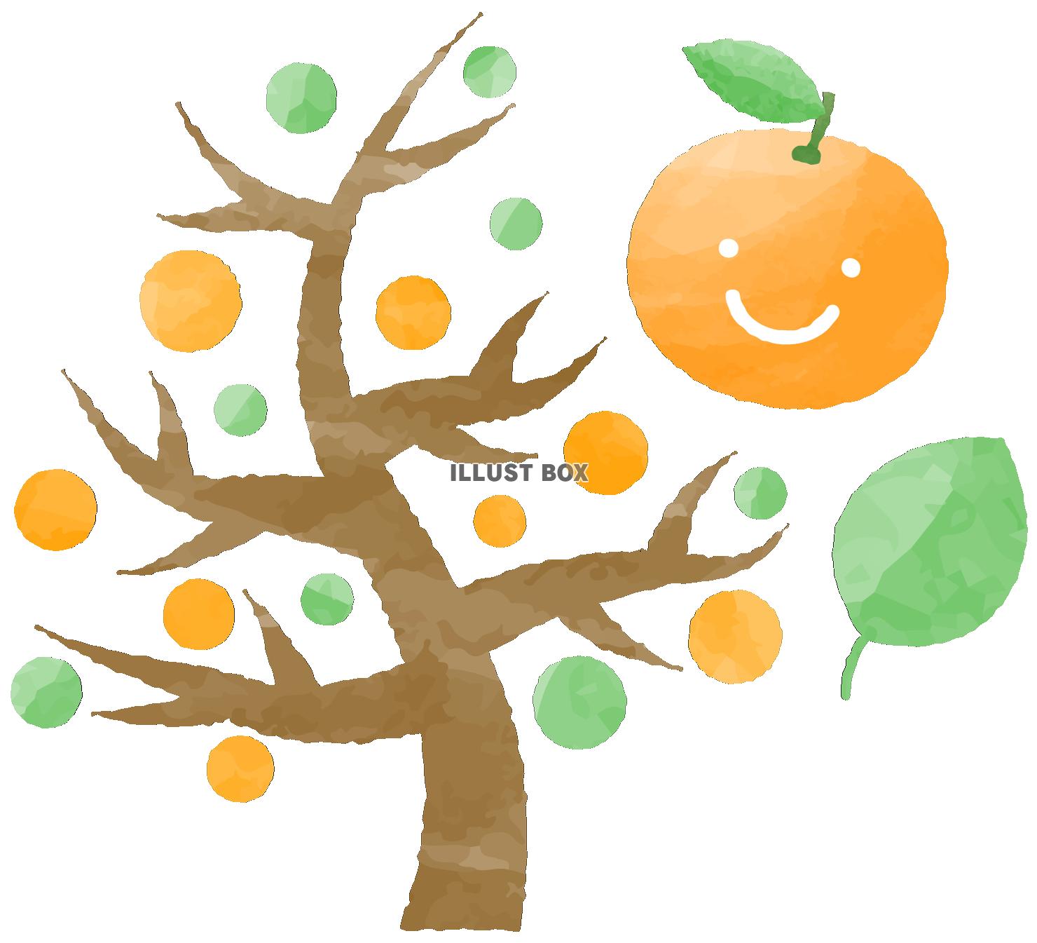 無料イラスト 手描き風笑顔のオレンジとオレンジの木