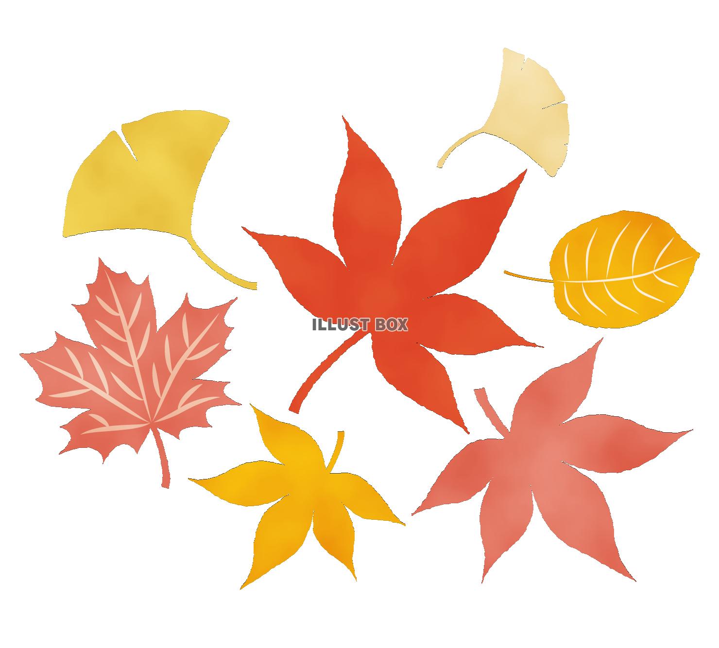 無料ダウンロード 秋 紅葉 イラスト 無料イラスト素材 かわいいフリー素材 素材のプ