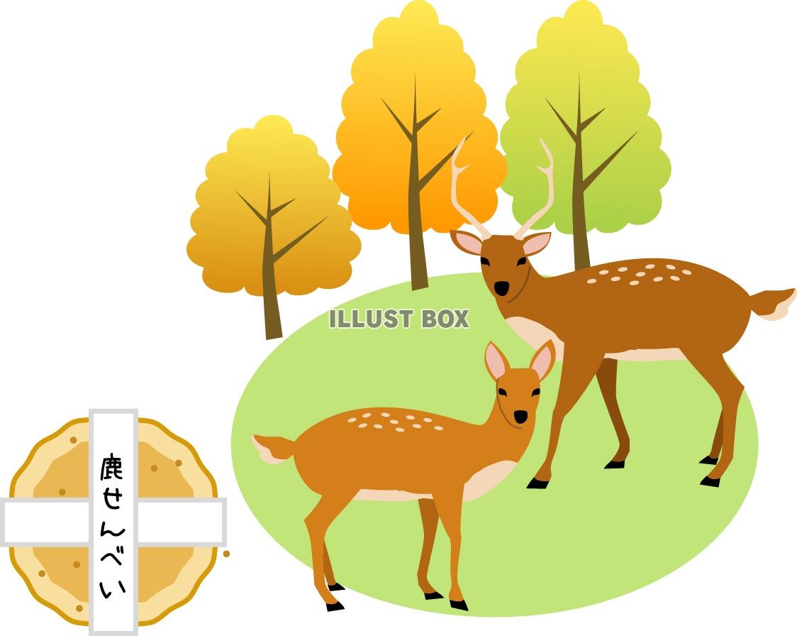 無料イラスト 奈良公園の鹿