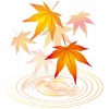 紅葉もみじ飾り装飾水面10月11月モミジ葉っぱ植物楓カエデ波紋和風和柄綺麗背景橙