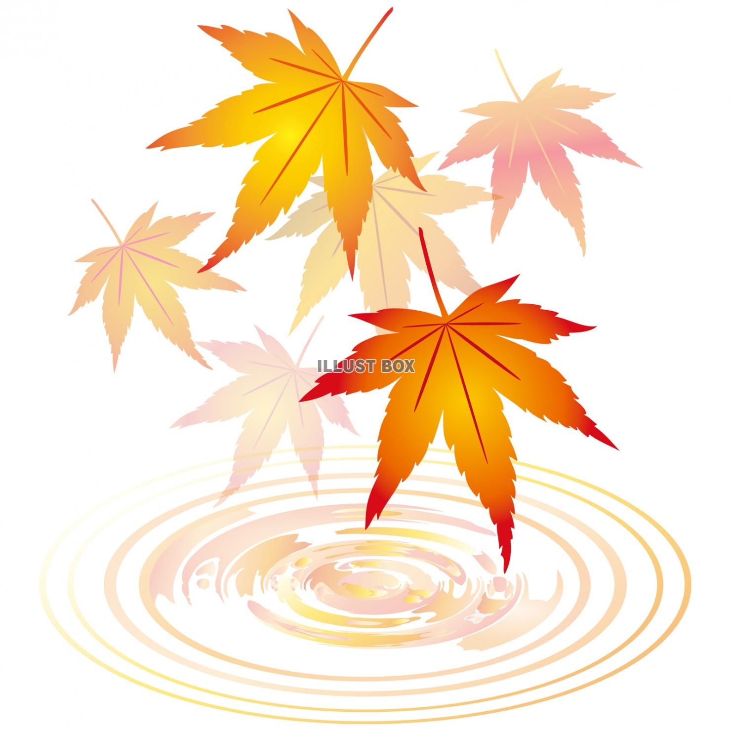 無料イラスト 紅葉もみじ飾り装飾水面10月11月モミジ葉っぱ植物楓