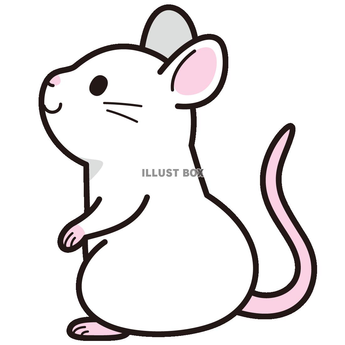 ネズミ の 絵 ねずみのイラスト年賀状 無料のかわいい干支デザイン素材 Web素材 All About