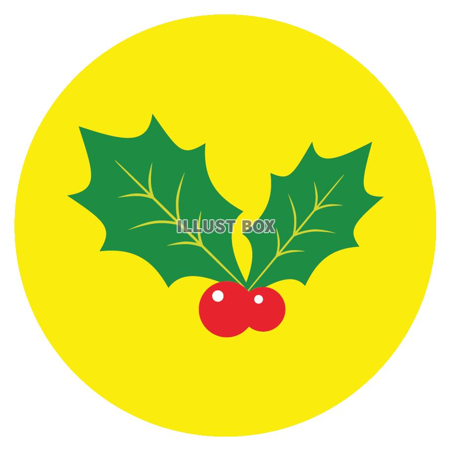 無料イラスト クリスマスのラベル風アイコン ヒイラギ