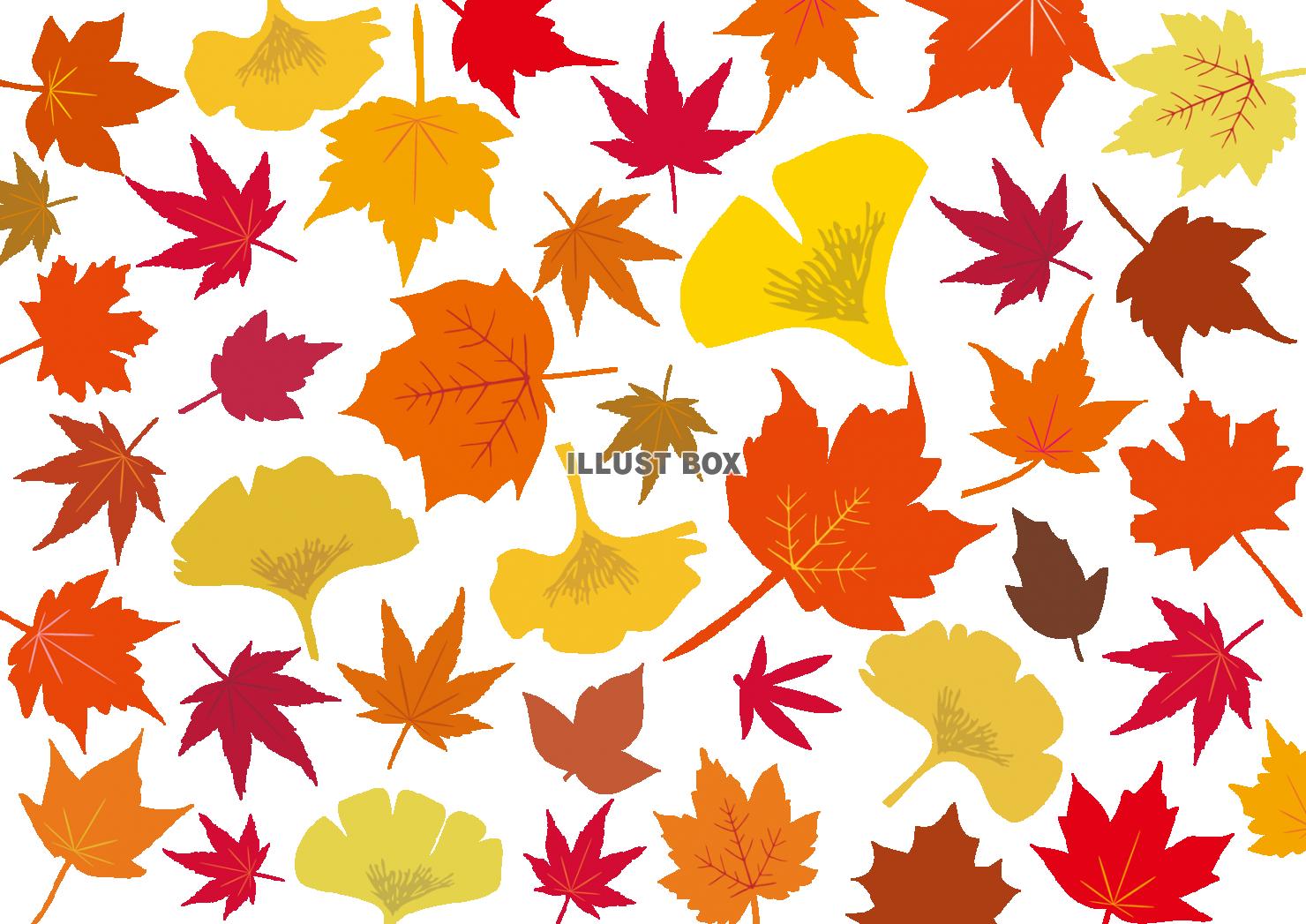 無料イラスト 秋冬紅葉もみじ銀杏10月モミジ11月イチョウ壁紙いちょう楓赤