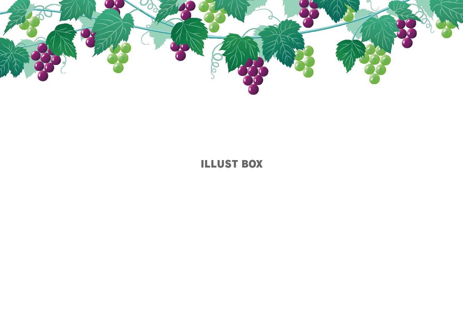 無料イラスト 透過 ぶどうの囲みフレーム 秋果物収穫ブドウ枠カード背景