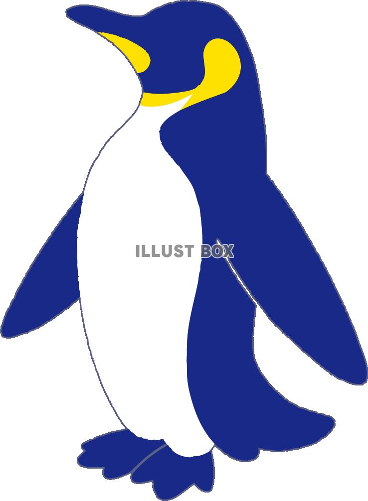 無料イラスト ペンギンのイラスト 親鳥