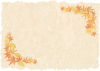 紅葉もみじ銀杏葉の和風秋冬飾り枠＆手書き水彩風和紙【9月10月11月頃の素材】