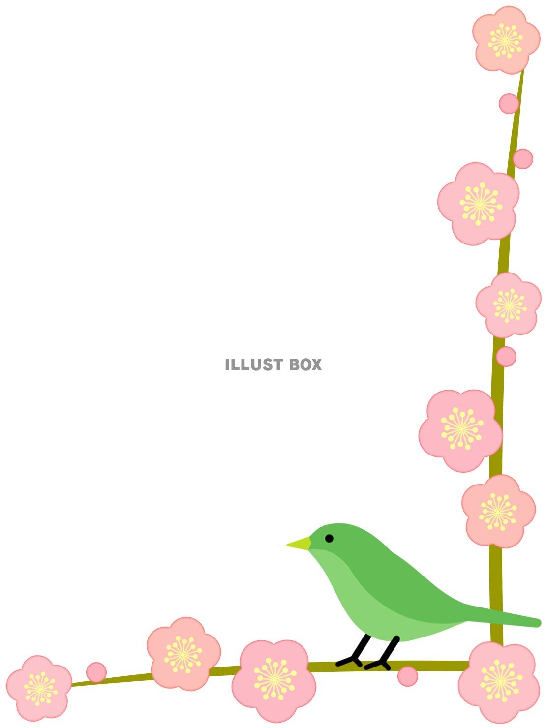 無料イラスト 梅に鶯フレーム花模様飾り枠素材イラスト ベクターあり