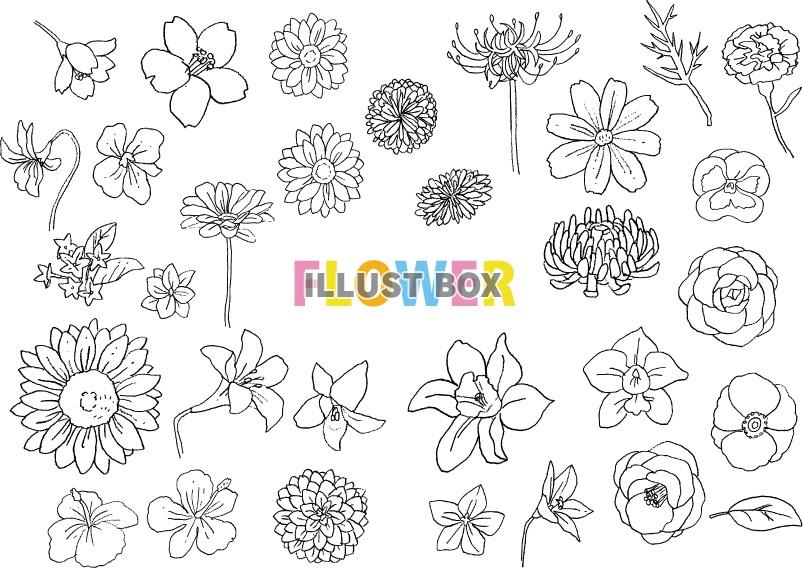 画像 16 23 花のかわいい無料イラスト集 白黒 カラー Web素材