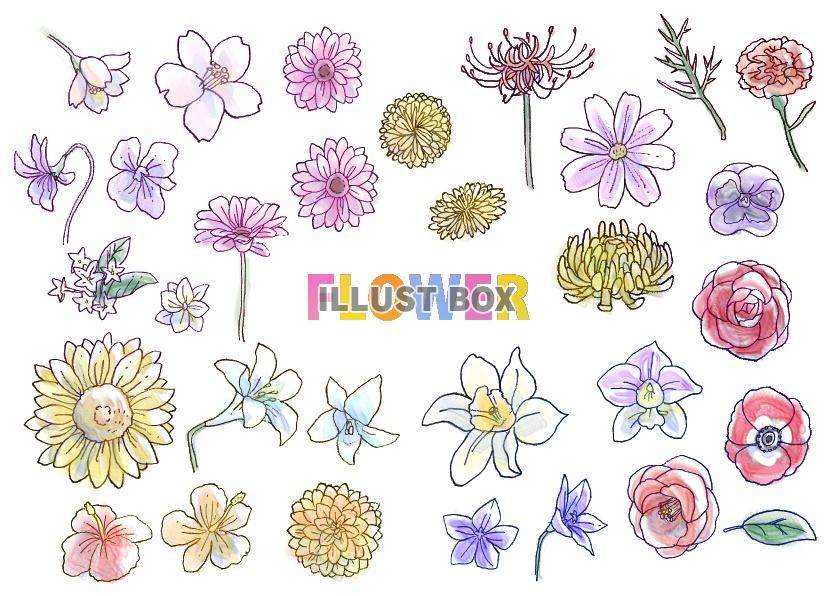 人気ダウンロード かわいい 花束 イラスト 簡単 スマホ イラスト フリー