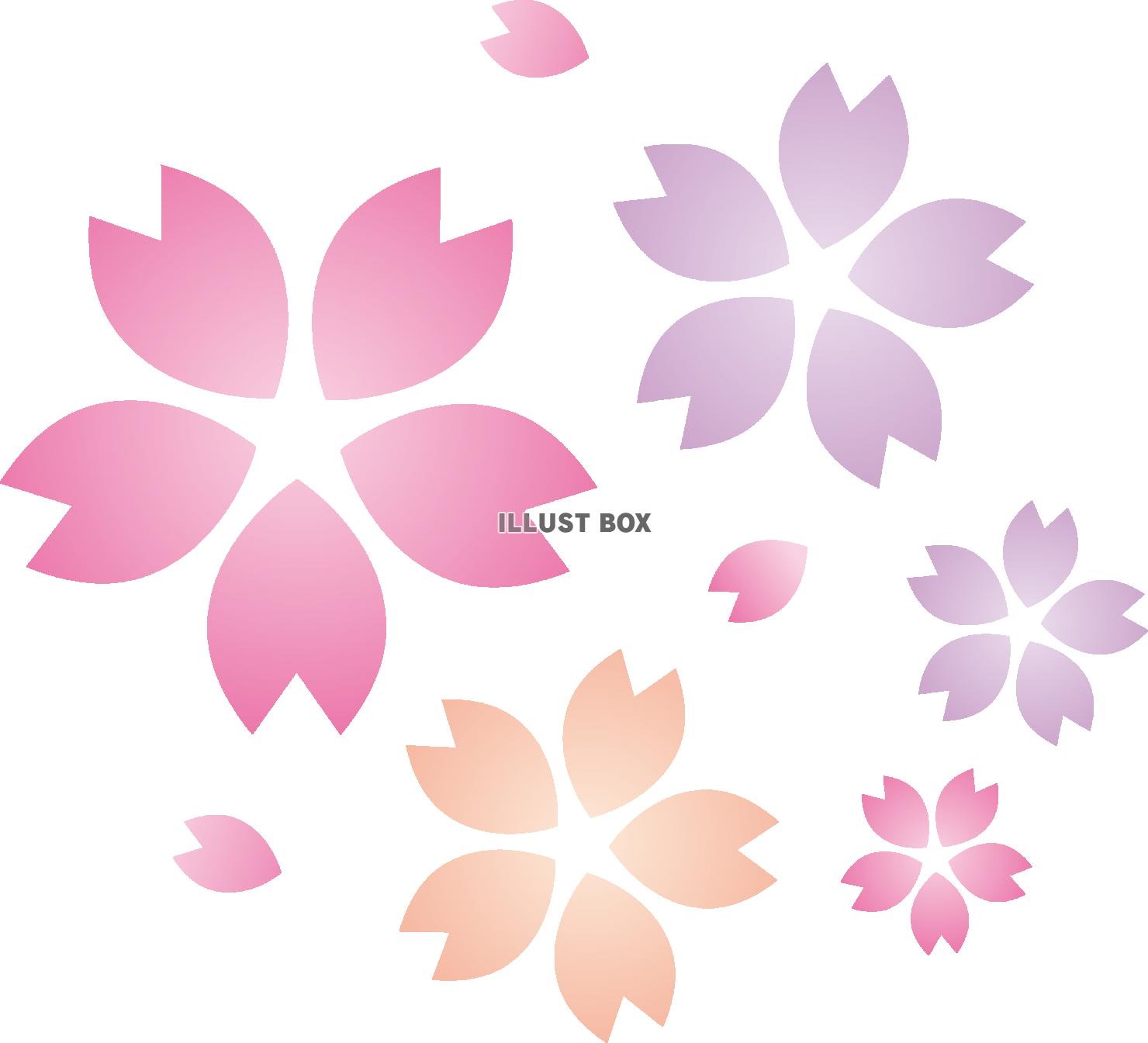 無料イラスト 桜の花びら 春 カラフル