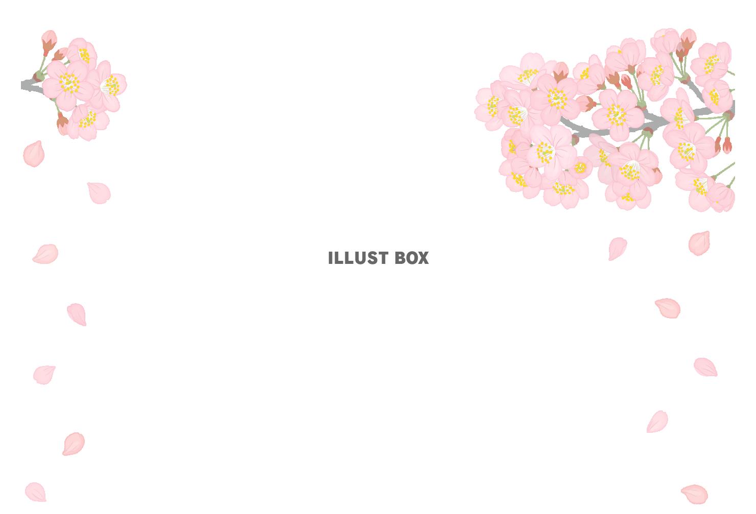 無料イラスト 満開の桜の花びらが散るイラスト