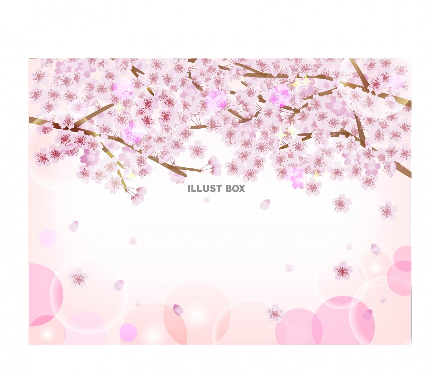 無料イラスト 桜の背景
