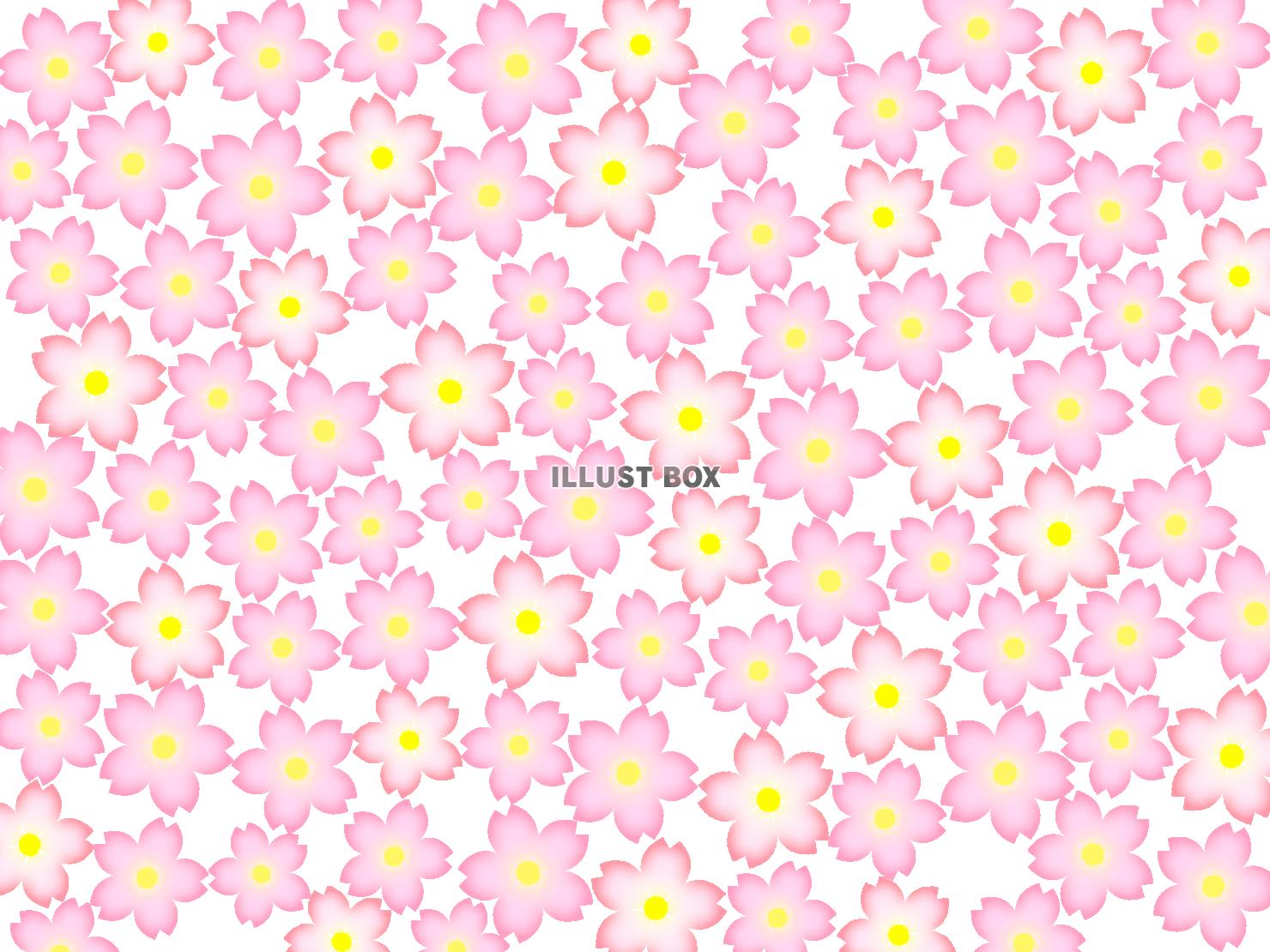 無料イラスト 桜の花模様壁紙シンプル背景素材イラスト 透過png