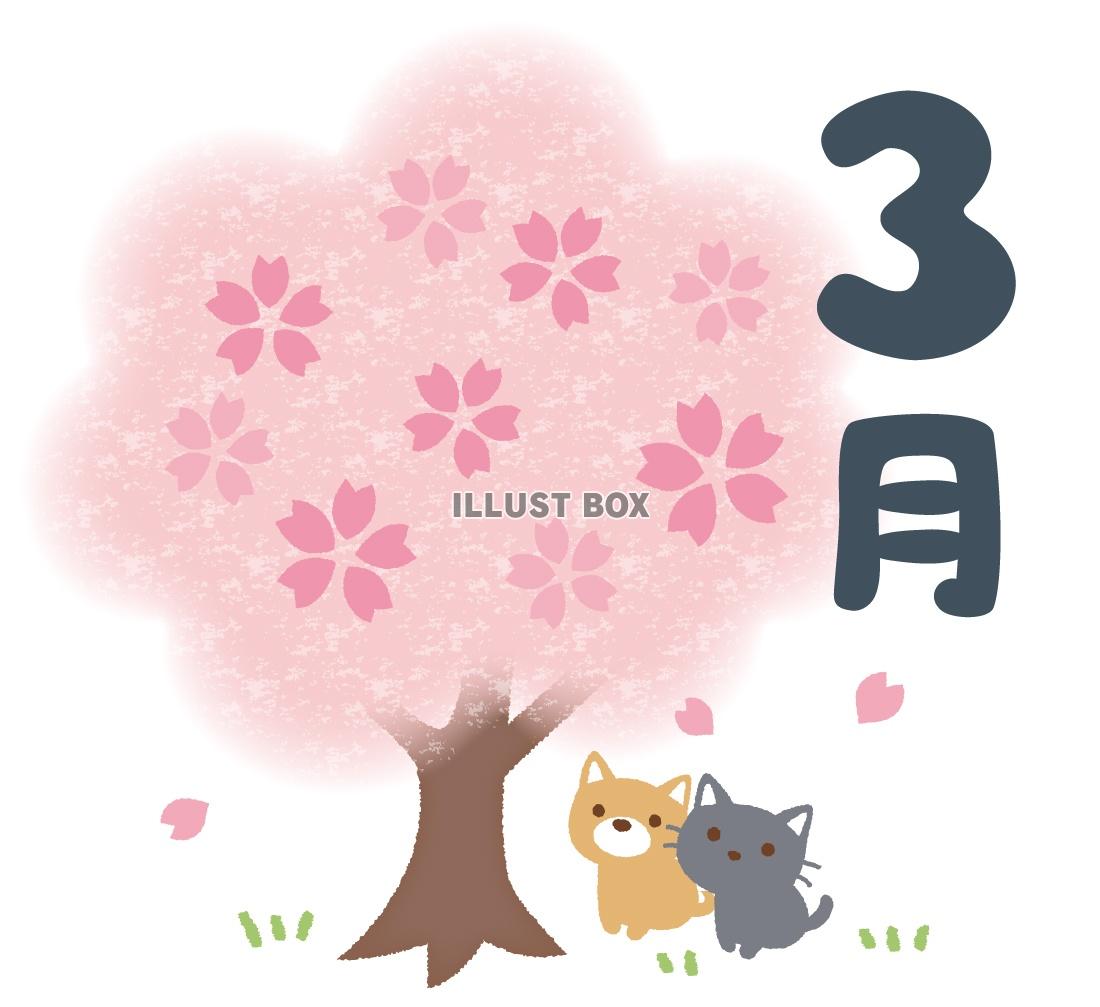 無料イラスト 3月 桜と猫