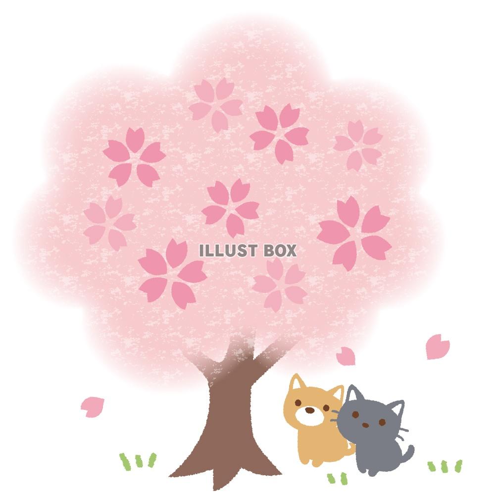 無料イラスト 桜と猫