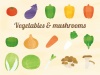 野菜ときのこセット水彩風(玉ねぎ、ネギ、白菜、ナス、大根、ピーマン、エリンギ、カ