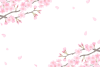 桜フレーム２