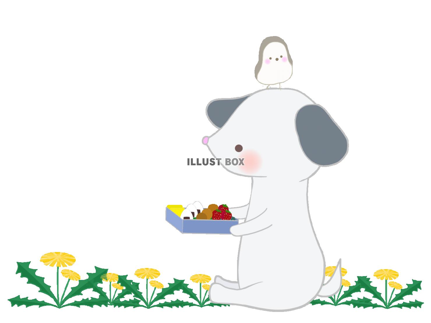 お弁当を食べる犬とたんぽぽのイラスト