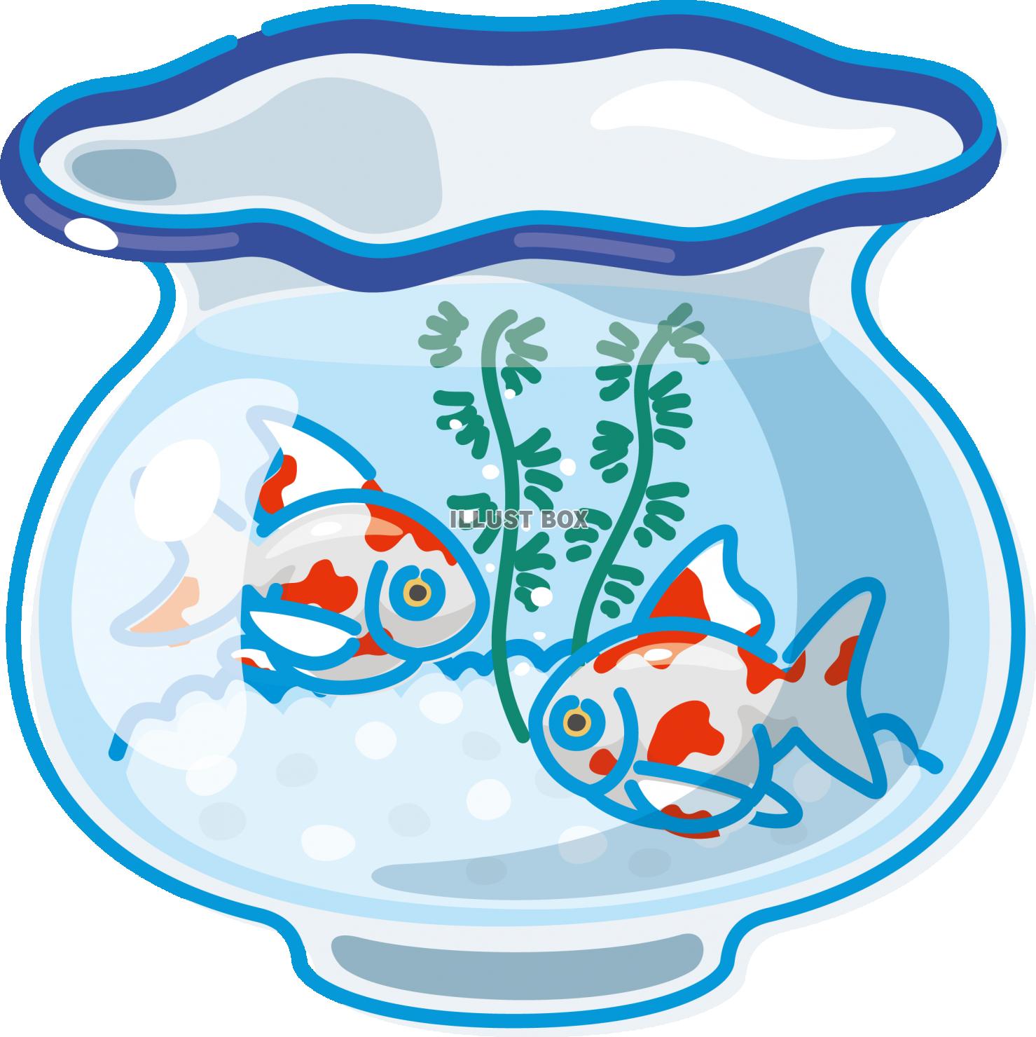 無料イラスト 夏のイメージ 金魚鉢 金魚