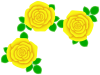 薔薇の花模様壁紙シンプル背景素材イラスト。透過PNG