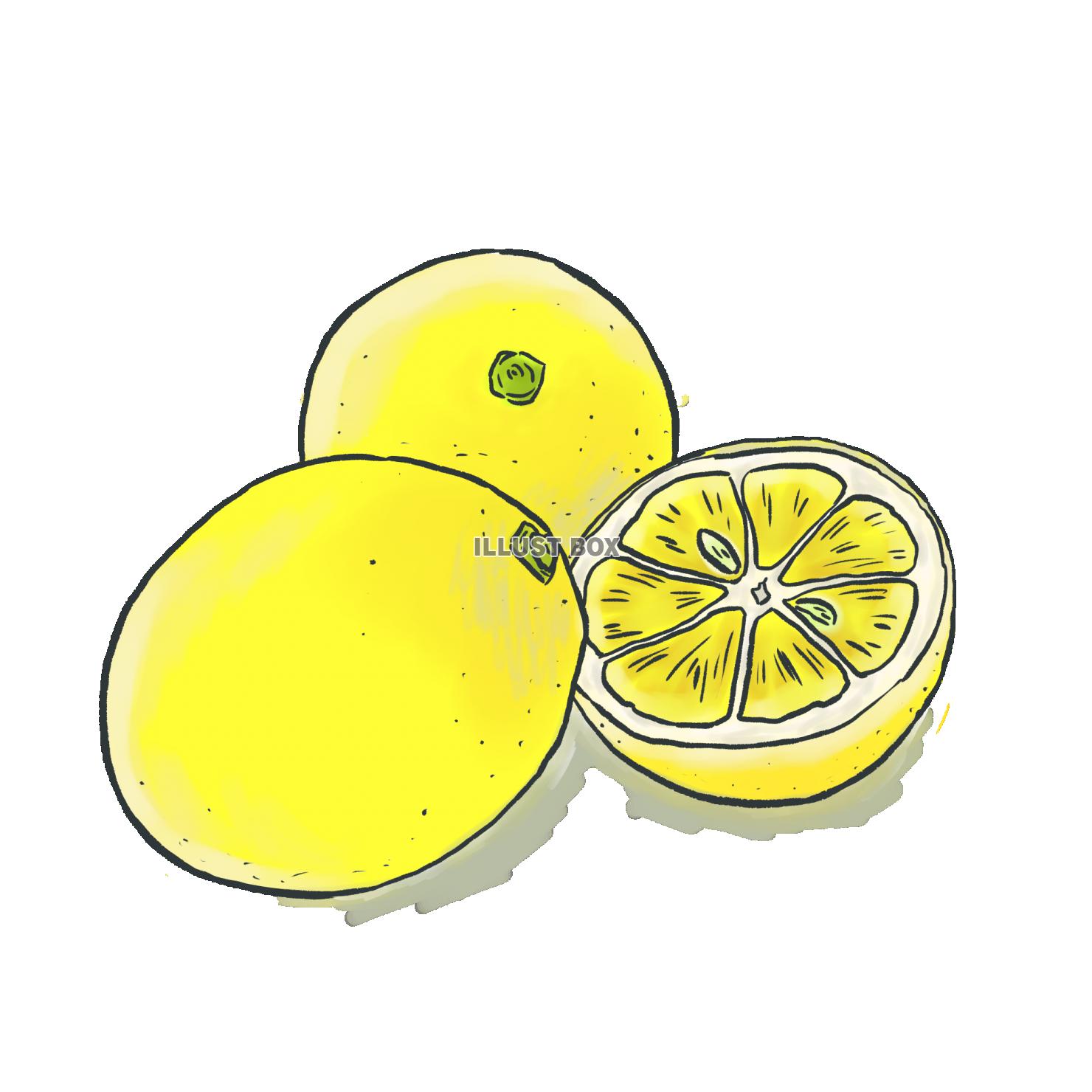 無料イラスト レモン Lemon