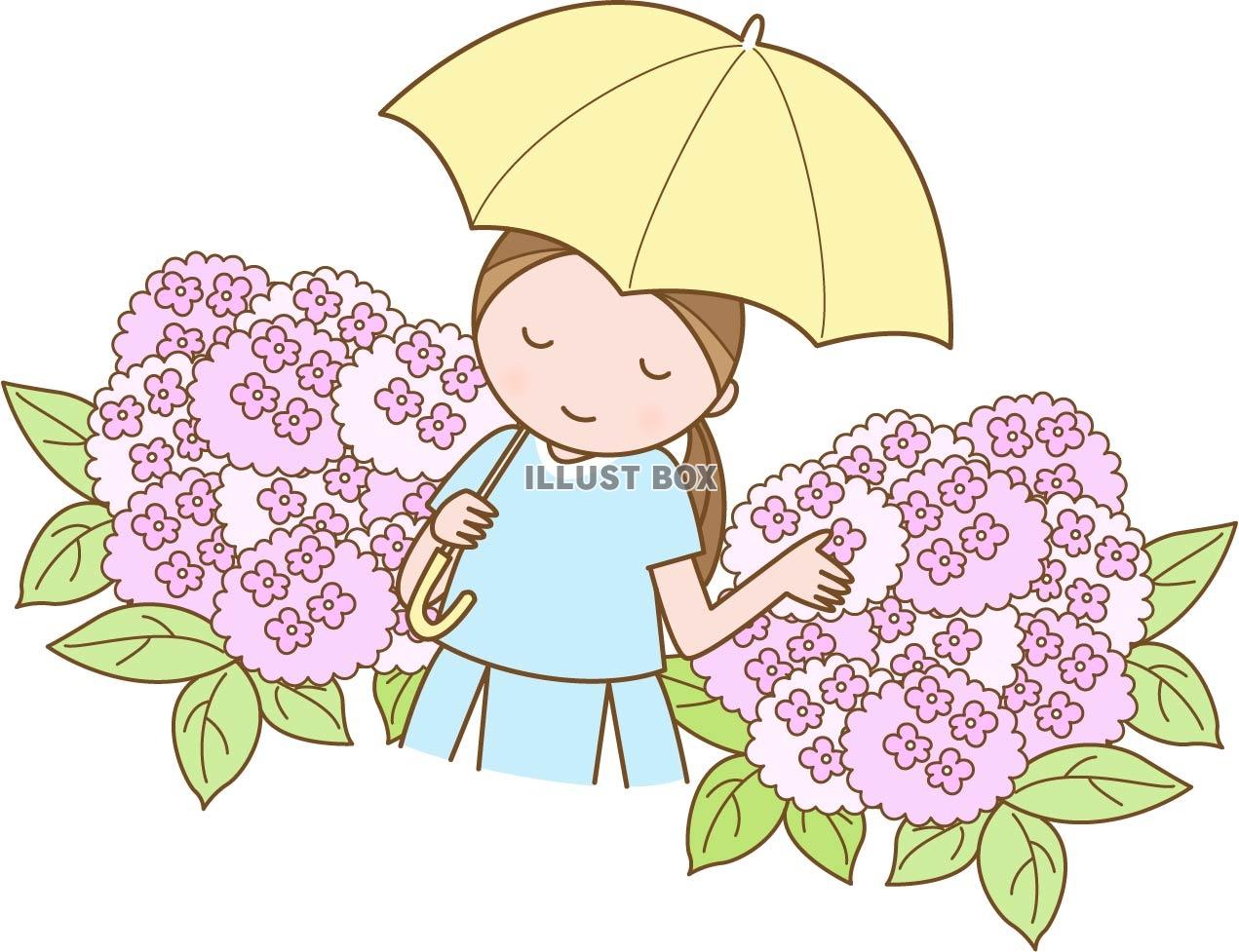 無料イラスト アジサイと傘をさす女の子