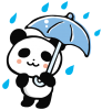 雨の日パンダ