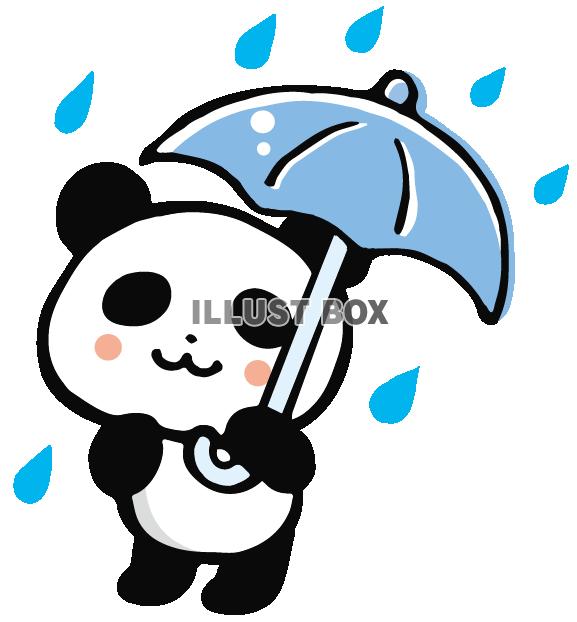 無料イラスト 雨の日パンダ