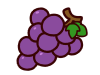 かわいい秋の果物　紫のブドウ