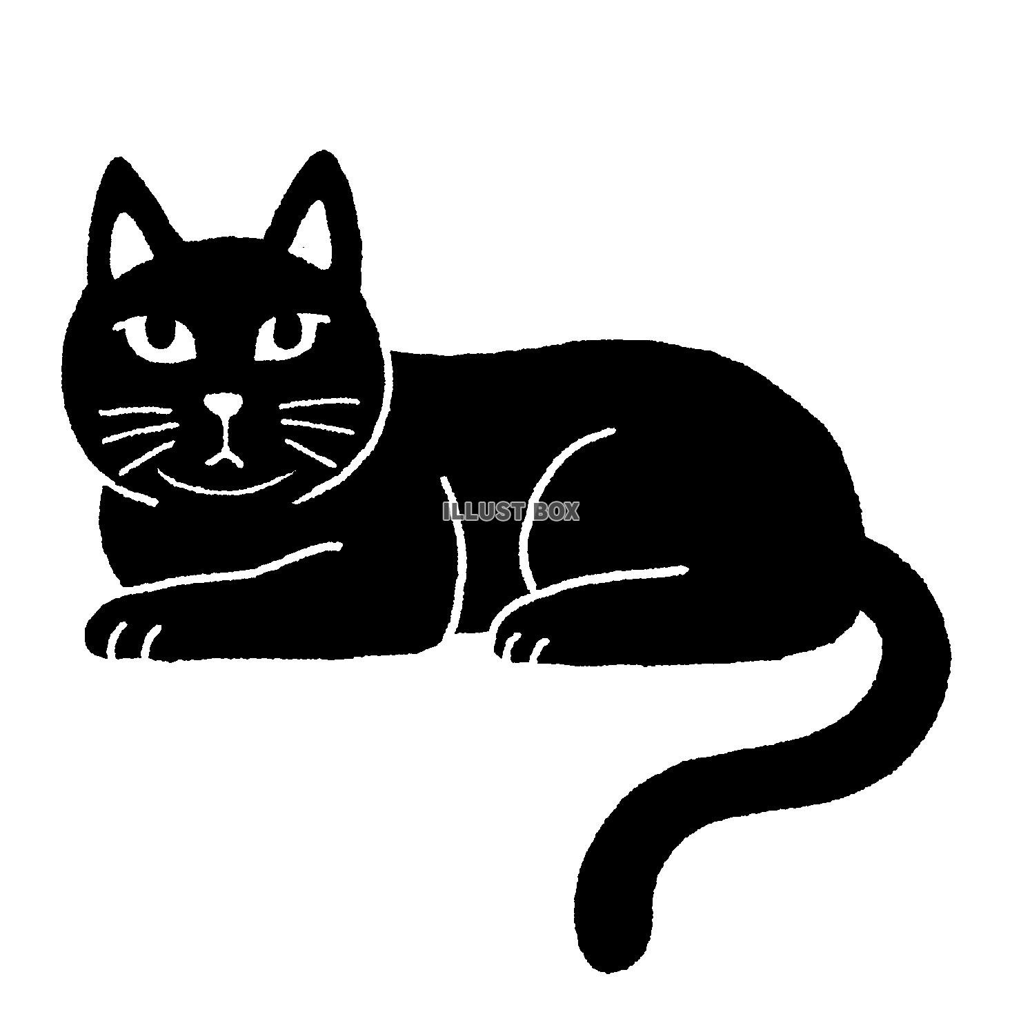 無料イラスト 黒猫