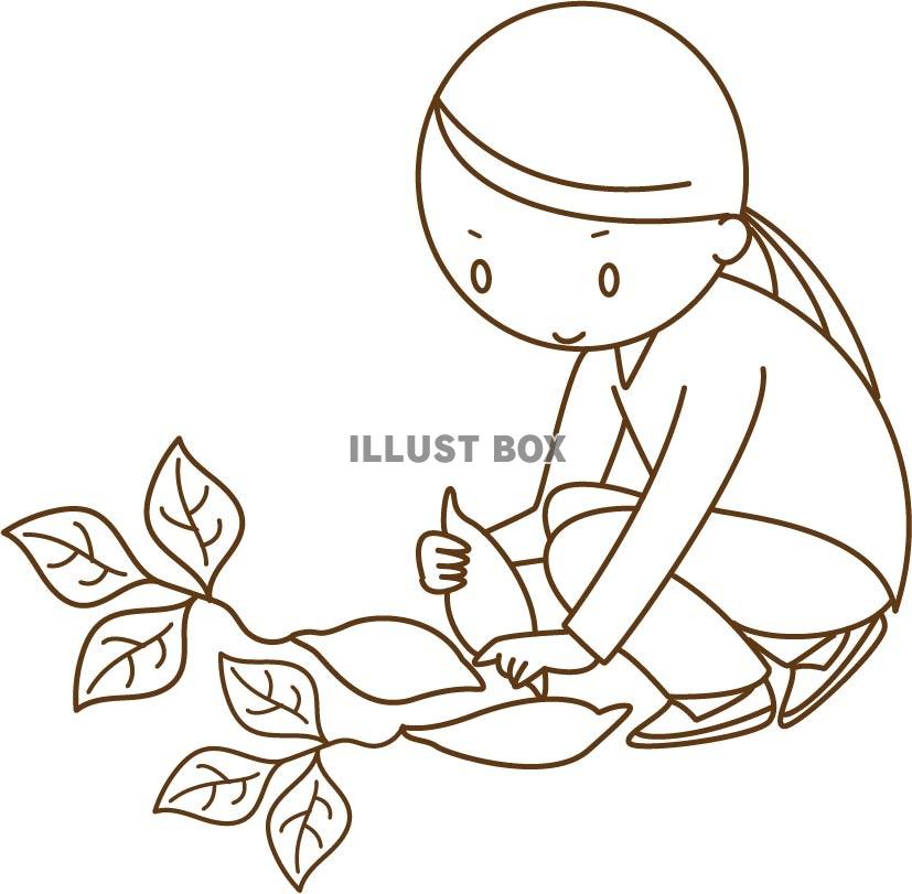 無料イラスト サツマイモの収穫をする女性の線画イラスト