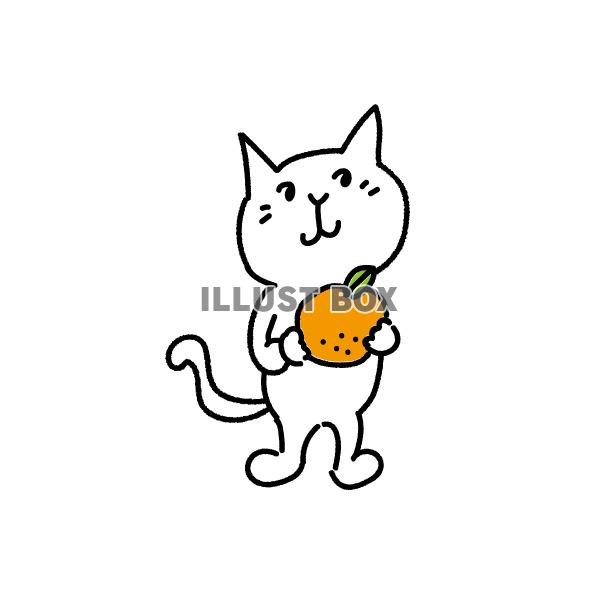無料イラスト オレンジを持っている白い猫