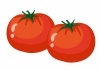 野菜シリーズ　トマト