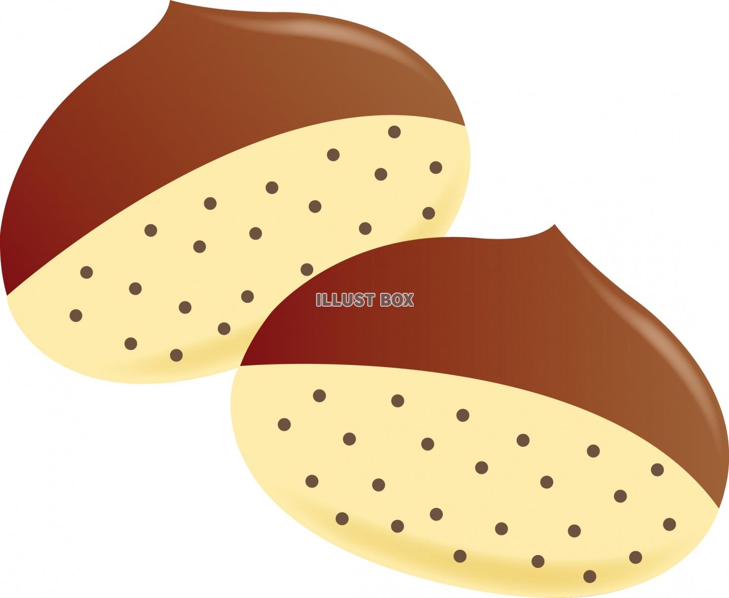 栗 イラスト無料