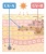 肌の構造★紫外線の仕組み・UV★説明文字なし