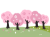 桜満開の桜並木