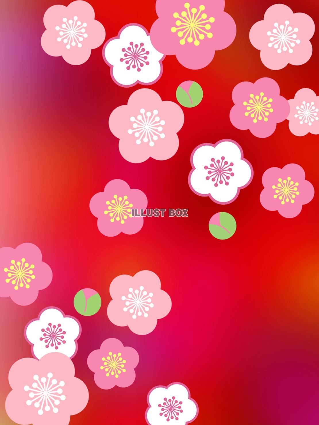 無料イラスト 梅の花模様壁紙和風柄背景素材イラスト
