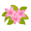 無料イラスト さつきのお花のライン2 春から初夏のお花
