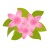 さつきの花