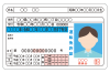 免許証・運転免許証・普通免許（表面）