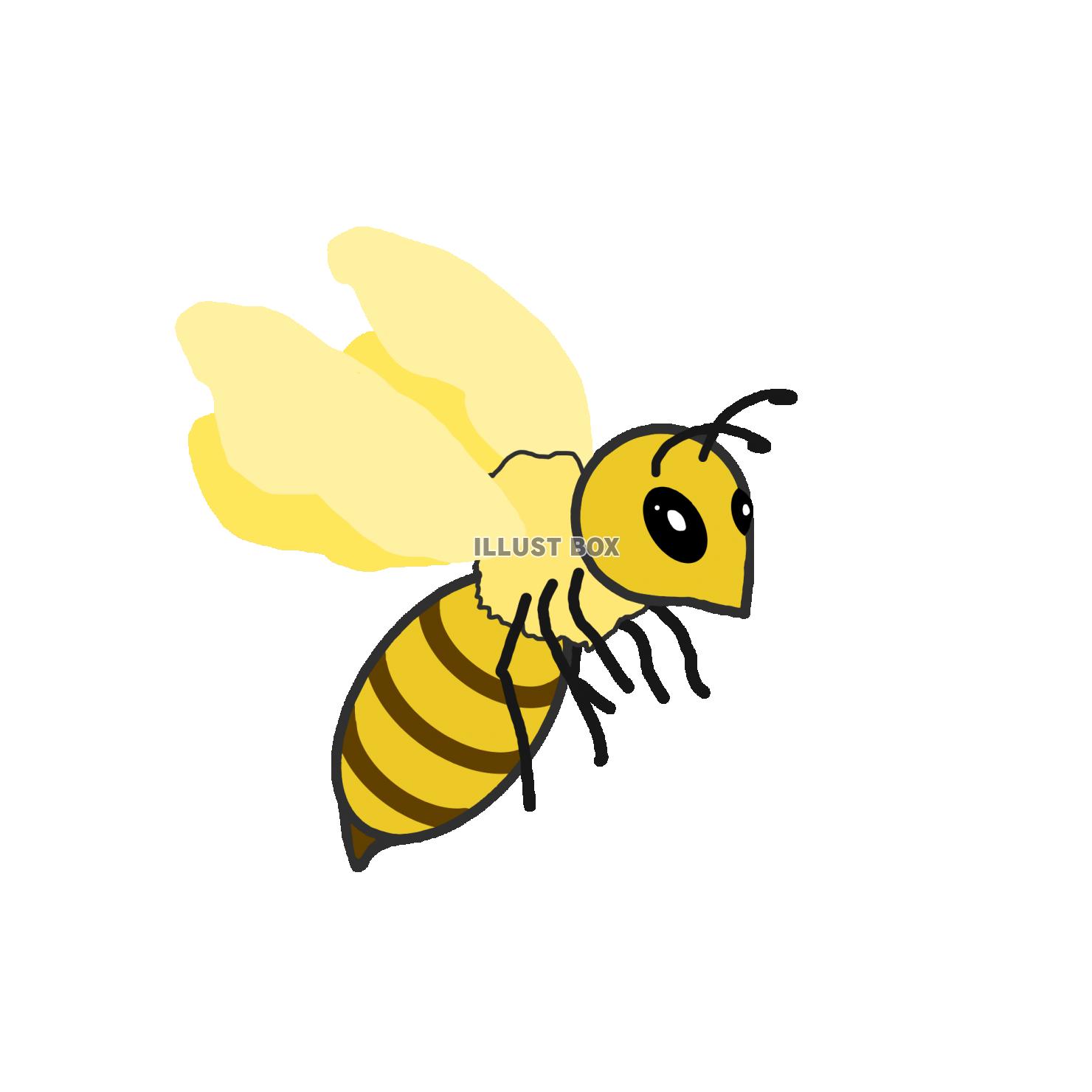 印刷可能 蜜蜂 イラスト 蜜蜂 イラスト