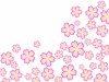 桜の花模様壁紙シンプル背景素材イラスト