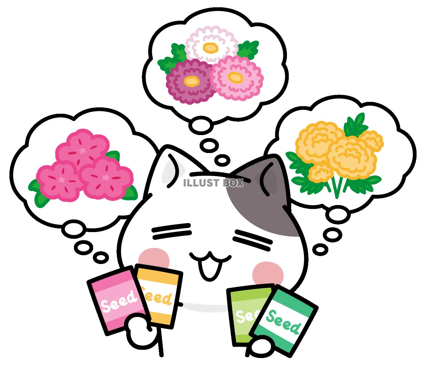 どの花にしようかな＜ぶち猫　にゃんこ＞