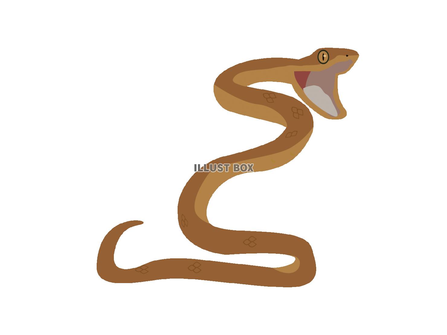 印刷 蛇 イラスト リアル 2260 蛇 イラスト リアル 描き方