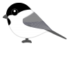 ハシブトガラ（日本の野鳥）透過PNG