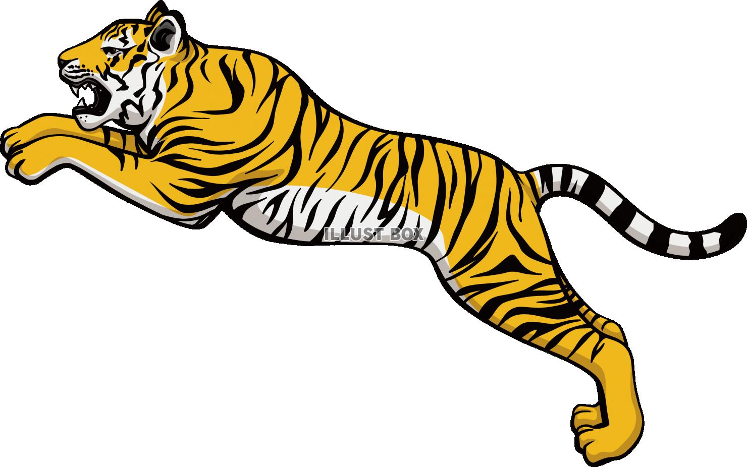 かっこいい 虎 イラスト 簡単 アニメーション画像の図 図500